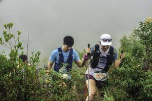 BIB: 5313
                            <button type="button" onclick="openModal(24737491)" class="btn btn-primary btn-sm float-right btn-popup" data-toggle="modal" data-target=".modal-high-quality">
                        <i class="fas fa-shopping-cart"></i> Add to Cart
                    </button>
                                            <button type="button" onclick="isThisMe(24737491, true)" class="btn btn-success btn-sm float-right btn-popup btn-isme hidden" data-toggle="tooltip" data-placement="bottom" title="นี่คือรูปของคุณใช่ไหม คลิกที่นี่เพื่อเอาเข้าอัลบั้ม">
                        <i class="fas fa-plus"></i> Add to album
                    </button>
                    <button type="button" onclick="isThisMe(24737491, false)" class="btn btn-warning btn-sm float-right btn-popup btn-isnotme hidden">
                        <i class="fas fa-ban"></i> Remove from album
                    </button>